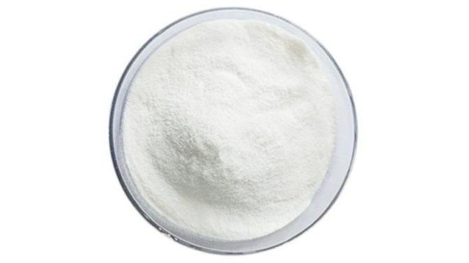 Chitinase Digestive Enzyme Powder 10g FOOD GRADE Supplement Kills Candida